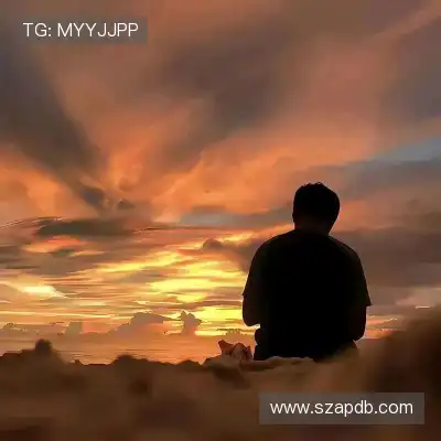 费朗标